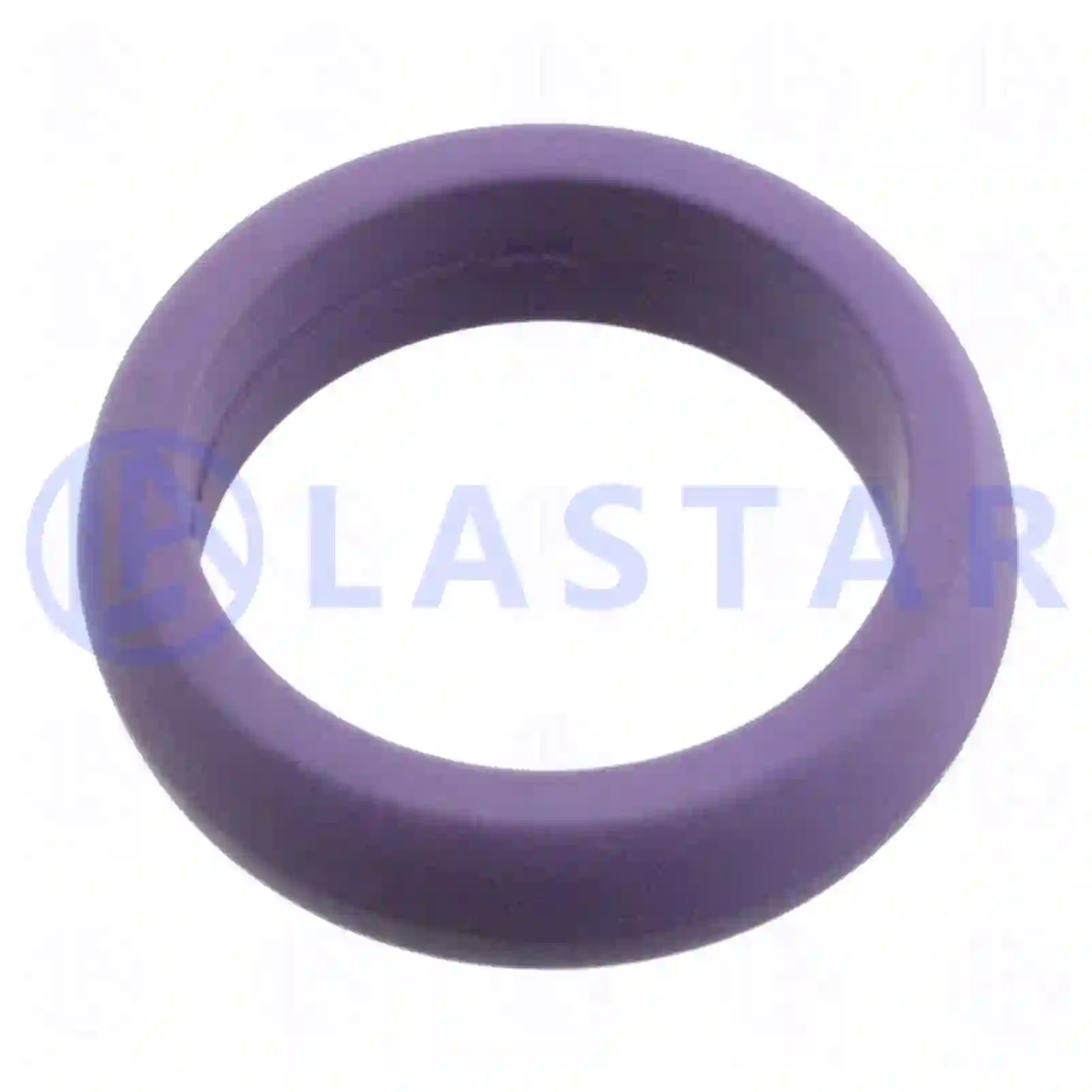 Turbocharger Seal ring, la no: 77700095 ,  oem no:#YOK Lastar Spare Part | Truck Spare Parts, Auotomotive Spare Parts