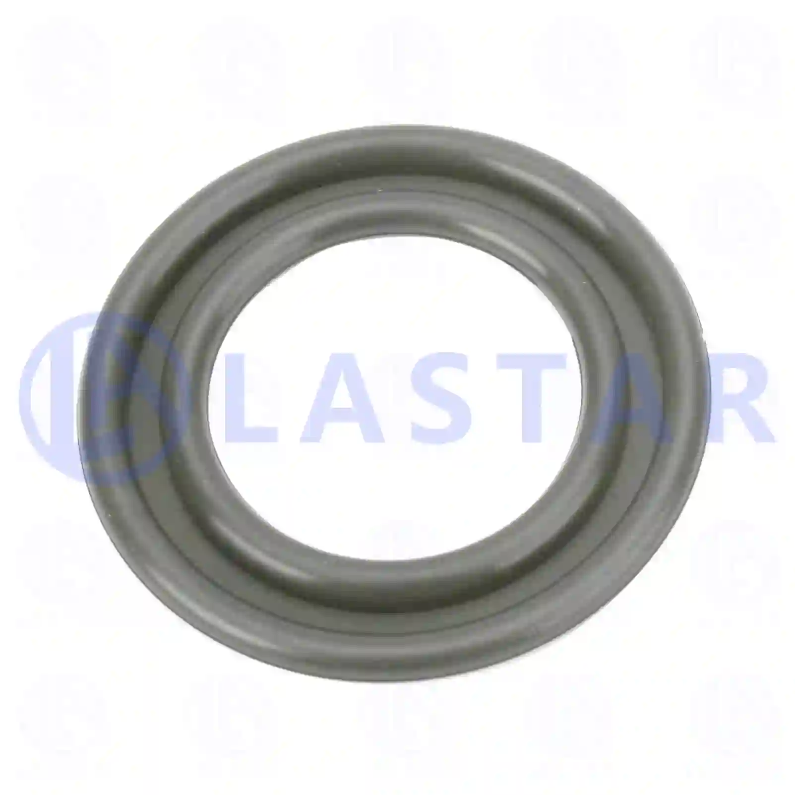  Seal ring || Lastar Spare Part | Truck Spare Parts, Auotomotive Spare Parts