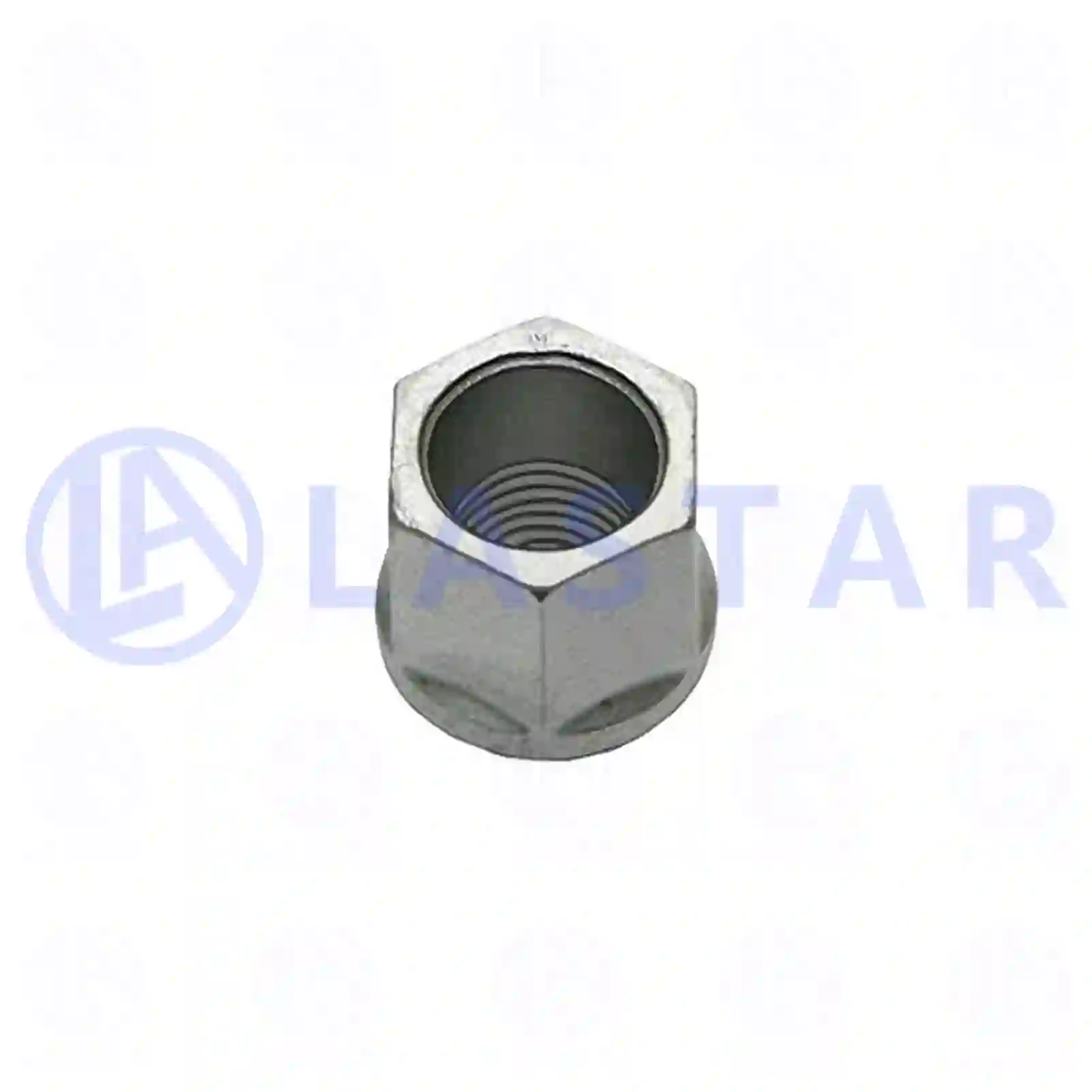 Leaf Spring Nut, la no: 77729988 ,  oem no:1390243, ZG41318-0008 Lastar Spare Part | Truck Spare Parts, Auotomotive Spare Parts